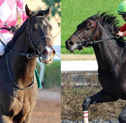 ダノンバーボン&ワンダーディーンが挑むケンタッキーダービーの枠順が確定!　1番人気が予想されるレネゲイドは1番ゲート