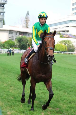 【チェアマンズSP】4度目の香港参戦のサトノレーヴは2着　延べ11頭目の日本馬挑戦も初勝利ならず　