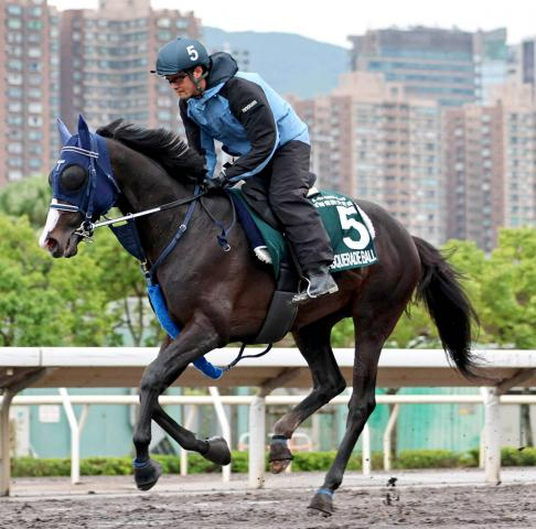 【QE2世C】最後方追走のマスカレードボール惜敗2着に手塚久調教師「あわよくば差し切ってほしいと...」　日本勢3頭は勝利を飾れず　