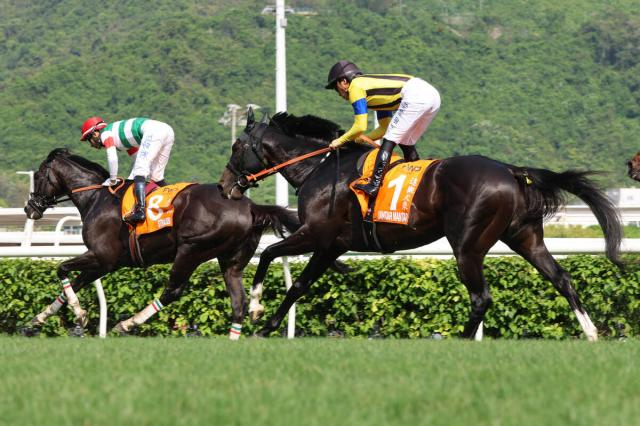 【チャンピオンズマイル】ジャンタルマンタルまさかの13着に川田将雅騎手「まずは無事にゴールまで走ってくれたことに感謝しています」