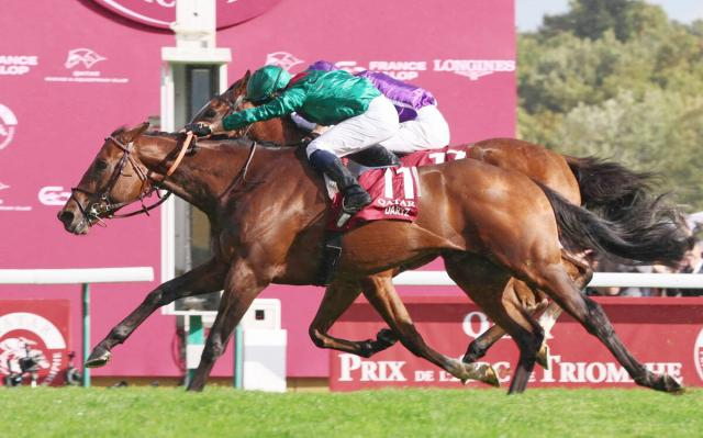 衝撃の上がり3ハロン31秒94　凱旋門賞馬ダリズの鬼脚にネット驚嘆「すごすぎて震える」「格が違う」仏G1・ガネー賞