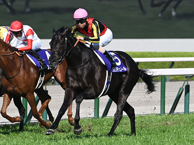 春の長距離王決定戦・天皇賞(春) 米国ではケンタッキーダービー/今週の競馬界の見どころ