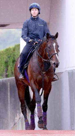 【G1・1週前まとめ】スティンガーグラスの友道康夫調教師「前回より落ち着いているんだよね」天皇賞・春