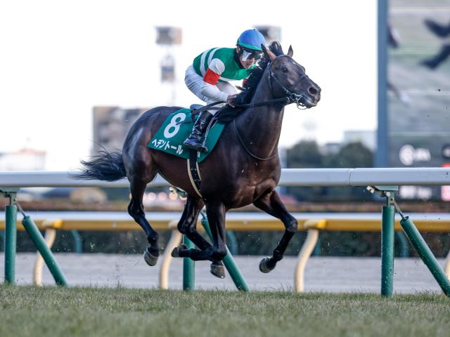 【天皇賞(春)見どころ】昨年の覇者ヘデントールが復権を狙う