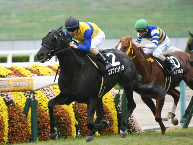 【先週のJRA抹消馬】芝マイルで活躍したエアファンディタ、ダート重賞3勝のサンライズホークなど