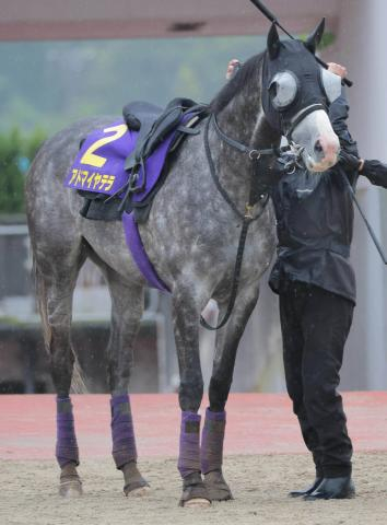 【天皇賞・春】アドマイヤテラは武豊騎手×アドマイヤで2週連続重賞Vへ　陣営「スピードの乗り方が良くなった」