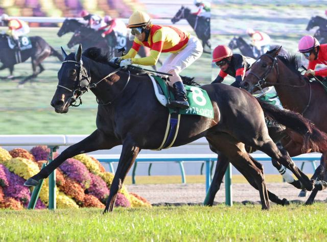 【注目馬動向】京都2歳S勝ち馬ジャスティンビスタは日本ダービーでの復帰が目標