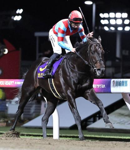 【注目馬動向】カゼノランナーはG1級競走連勝かかる帝王賞へ参戦決定　ヤマニンブークリエは新潟大賞典