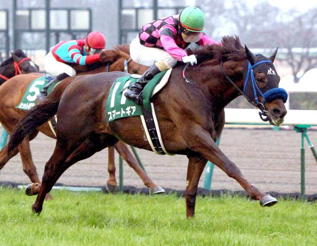 鋭い末脚で愛されたスマートギアが21歳で死す　12年の中日新聞杯でV　松山弘平騎手の重賞初勝利　障害レースでも白星