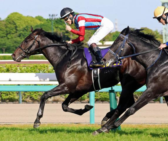 【注目馬動向】皐月賞馬ロブチェンは日本ダービーへ　エリカエクスプレスは引き続き武豊騎手でヴィクトリアマイル参戦
