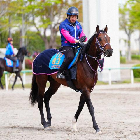 【京王杯SC】シリウスコルト、距離短縮はプラス