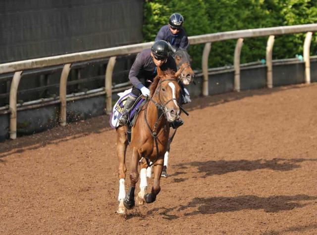 【天皇賞・春】6歳牝馬ヴェルミセル上昇ムード、道悪を希望