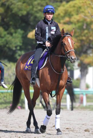 【天皇賞・春】前進気勢抜群のホーエリート、万全の前々日輸送で73年ぶりの牝馬制覇狙う