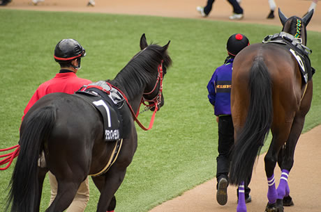 本当にあったパチモン馬名
