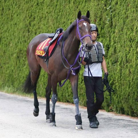 【注目馬動向】ヴィクトリアマイルに向かうジョスランが戸崎圭太騎手と新コンビ　5月1日に帰厩予定