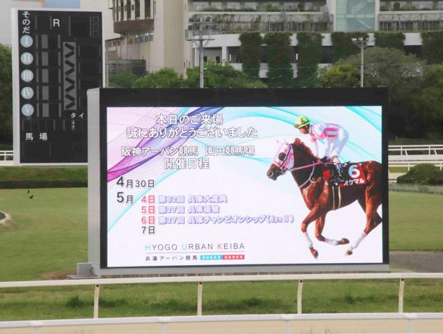 園田競馬6Rで珍事発生!　8頭立てのレースでまさかの着順結果に　