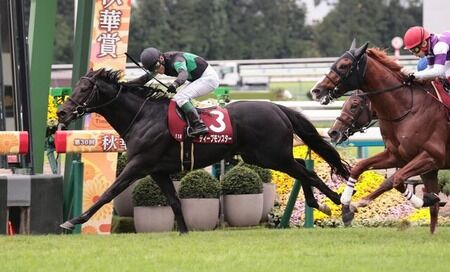 漢ディープモンスター、ロマンチックウォリアーの香港三冠阻止に向け出陣