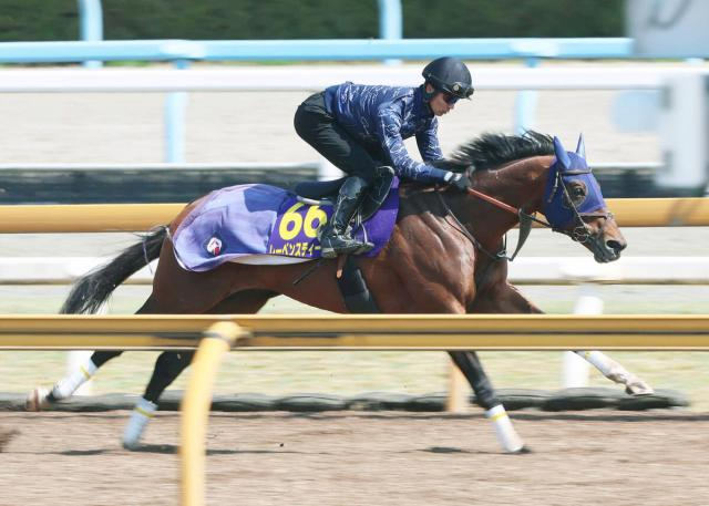 【注目馬動向】大阪杯6着のレーベンスティールは安田記念への出走を検討　キャロットクラブが発表