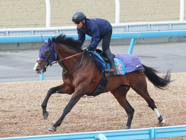 【注目馬動向】日経賞3着のローシャムパークは香港のチャンピオンズ&チャターCも選択肢　ロマンチックウォリアー参戦予定