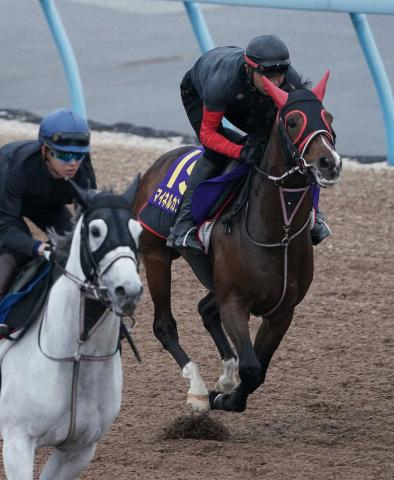 【天皇賞・春】マイネルカンパーナ　抜群の動きで先着1F11秒9　青木師「一発を狙うつもりで」
