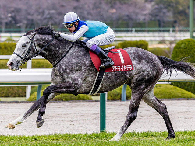 【天皇賞(春)・調教後馬体重】アドマイヤテラは514kg、クロワデュノールは520kg