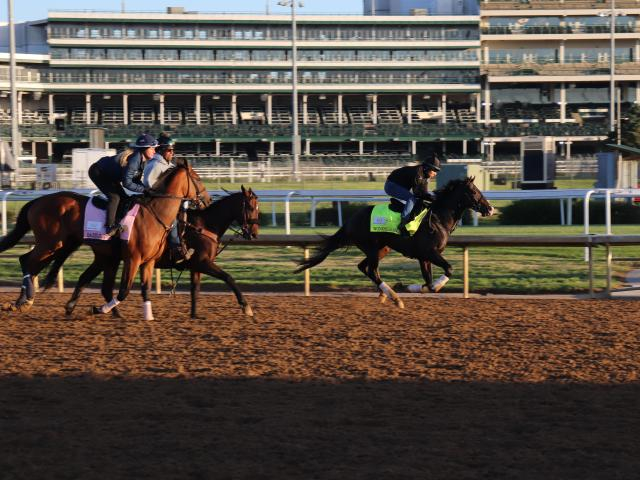 米国遠征中の日本馬3頭 引き続き順調ぶりアピール