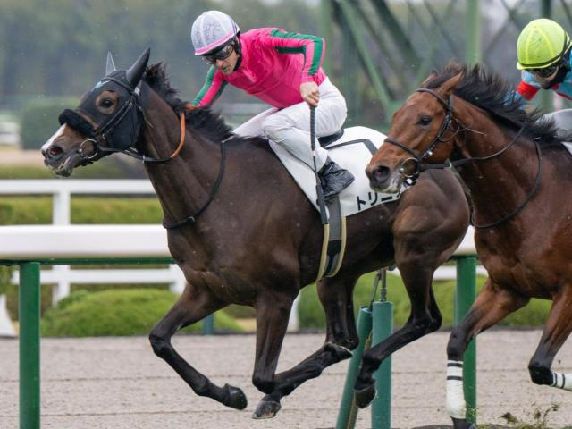 母はヌーヴォレコルト トリニティが樫に望みつなぐか