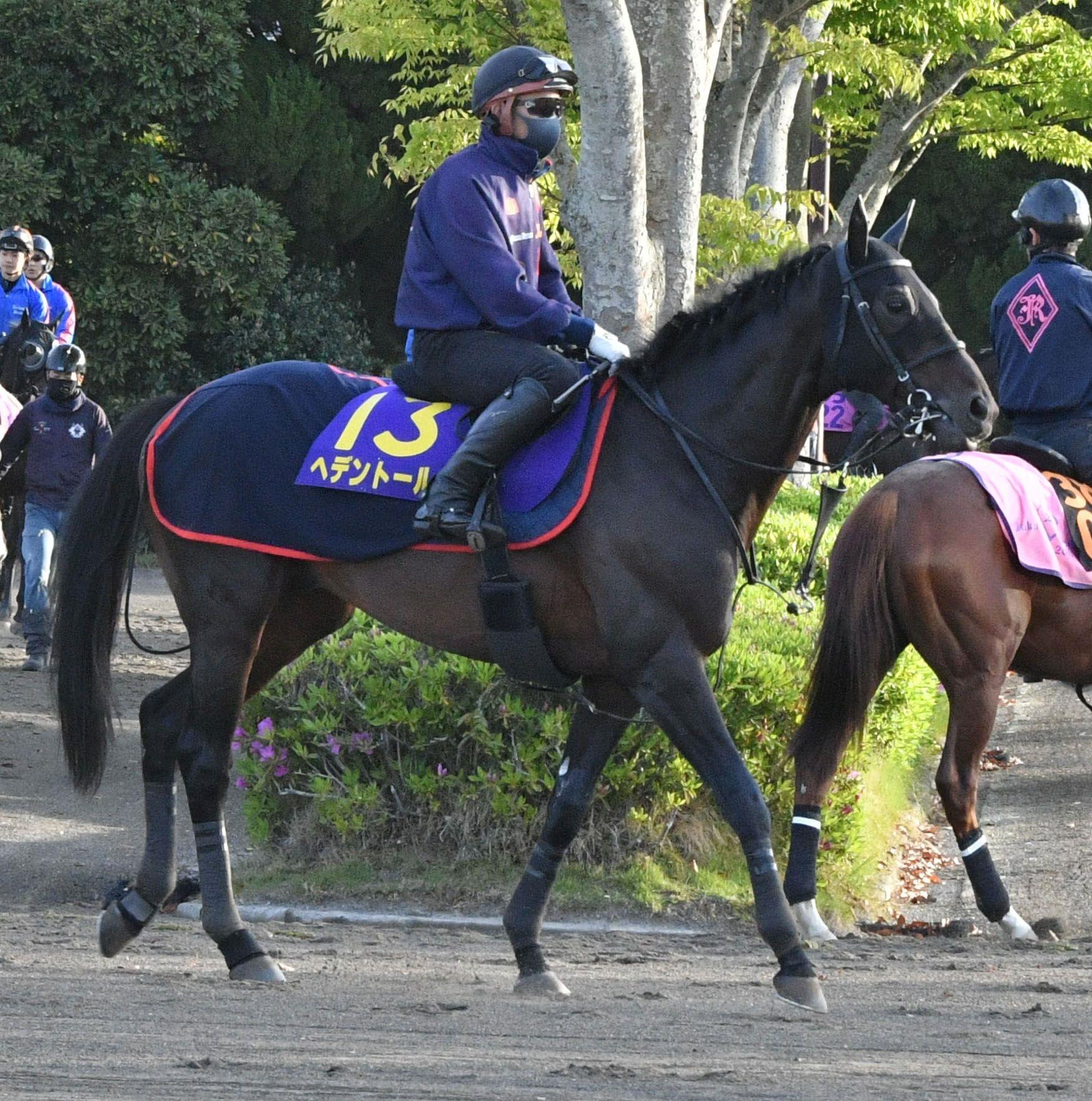 【天皇賞】ヘデントール　馬場回復を願う　木村師「大きなフットワークで走るし、少しでも乾いて」