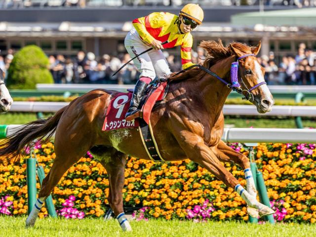 京王杯SCは4歳馬が好成績 押さえておきたい産駒は？