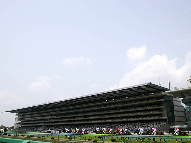【スイートピーS結果】カナルサンマルタンが抜け出し2連勝 オークス切符獲得