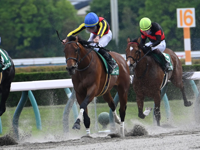【JRA・WIN5】本日のWIN5は的中61票、配当525万8560円