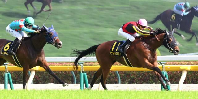 【東京10R・スイートピーS】カナルサンマルタンが力強い末脚でオークス切符　ルメール騎手「能力があります」