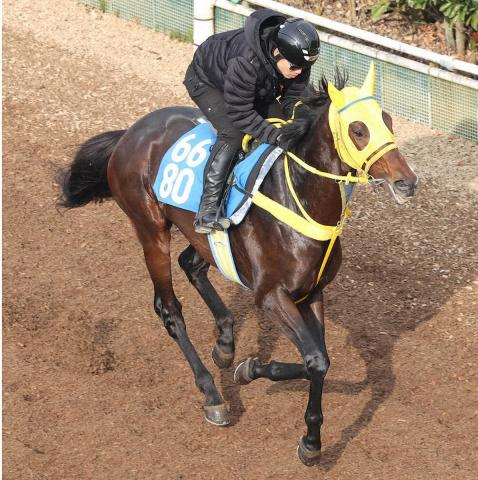 【天皇賞・春】(15)ヴェルテンベルク　前走より好状態　陣営「満足いく仕上がり」