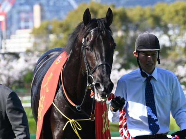 【今日の注目ポイント】古馬長距離王決定戦・天皇賞(春) 