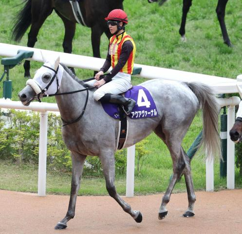 【天皇賞・春】アクアヴァーナルは4着　73年ぶりの牝馬制覇ならずも松山弘平騎手「最後も一瞬、いけるかなと」