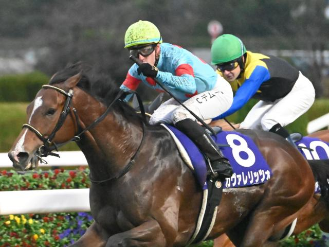 3歳マイル王決定戦・NHKマイルCなど3重賞/今週の競馬界の見どころ