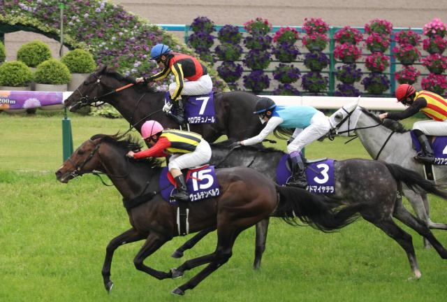 【天皇賞・春】推定2センチ差で「最強」守った!クロワデュノールがレース史上6組目の父子制覇