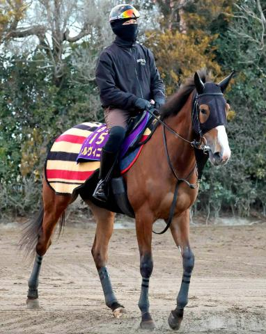 【注目馬動向】チェルヴィニアはヴィクトリアMでダミアン・レーン騎手との新コンビ結成