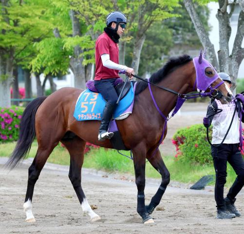 【かしわ記念】昨年の砂2冠ナチュラルライズが復権へ好調教　横山武史騎手「ここ最近では一番追い切りの雰囲気は良かった」