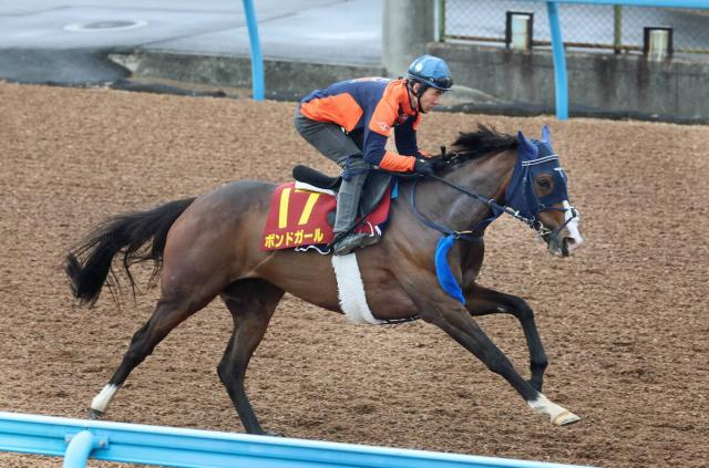 【ヴィクトリアM・1週前】重賞2着7回ボンドガールは悲願の初タイトルへ　手塚貴久調教師「動き的にはあれでいい」