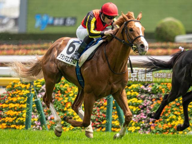 名牝グランアレグリアの初仔 グランマエストロが惜敗続きにピリオドを打つか