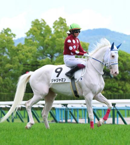 白毛馬ジャジャミンの初陣は14着　今村聖奈騎手「これからも一緒に頑張っていけたら」　全姉は同じ白毛のゴージャス