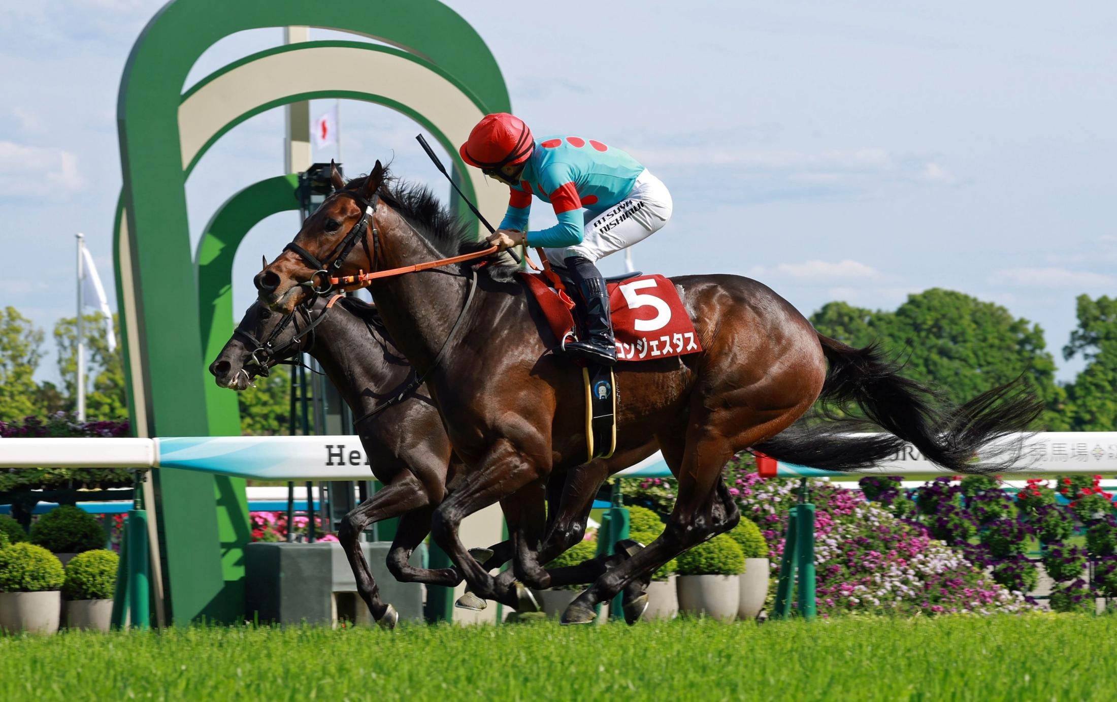 【京都新聞杯】新星誕生！コンジェスタスが無傷３連勝で重賞初制覇　西村淳「メンバーが強かったけど、この競馬。ダービーが楽しみです」