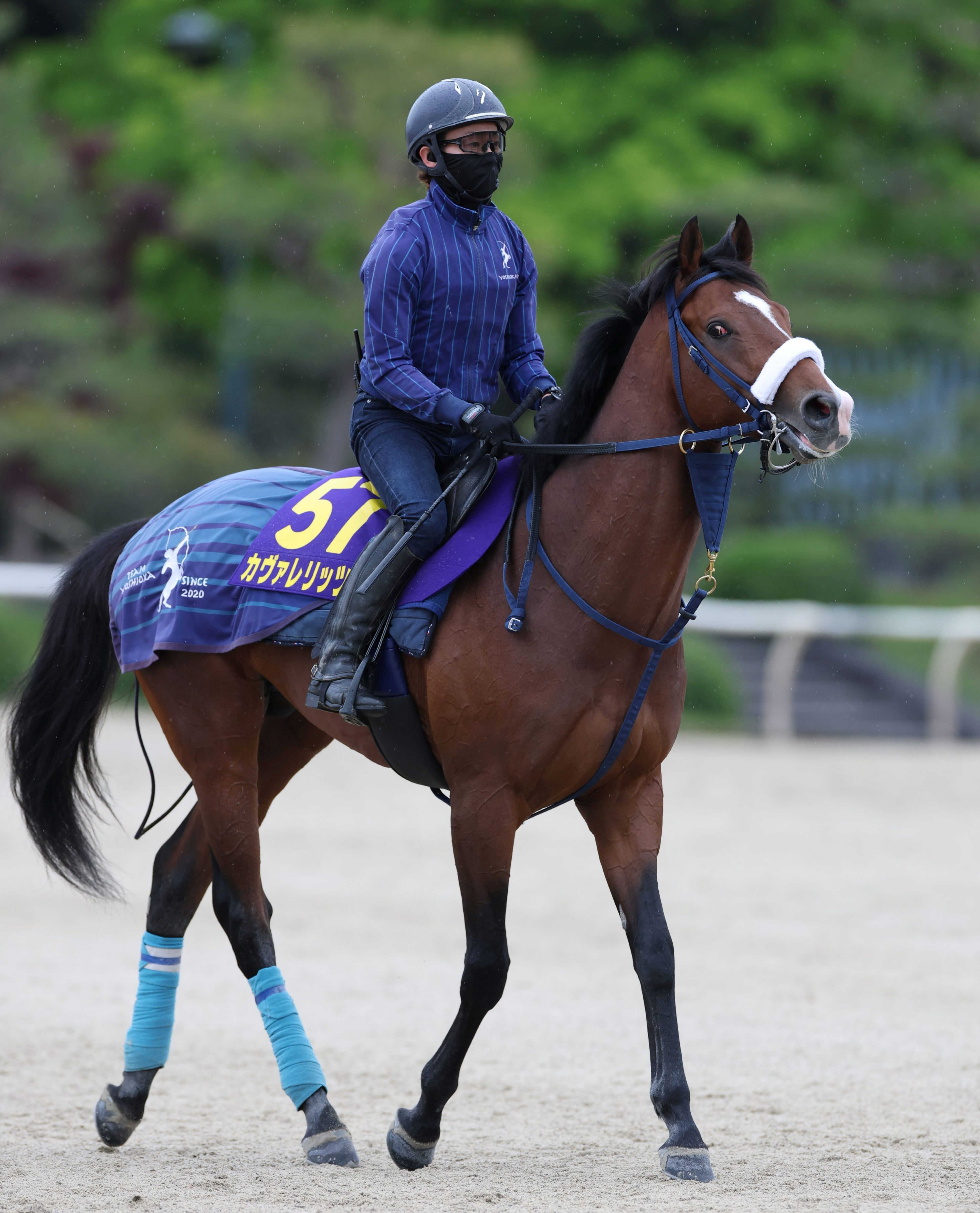 【京都＆東京の危険な人気馬】カヴァレリッツォ　東京11Ｒ・ＮＨＫマイルＣ