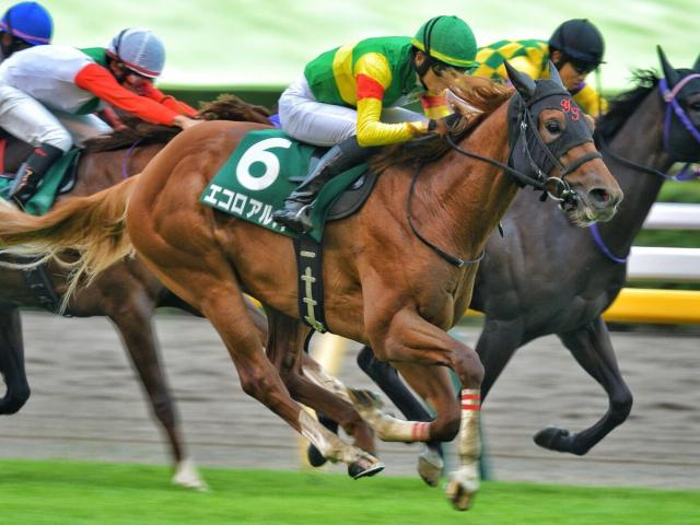 霜降り明星・粗品はエコロアルバを信頼 NHKマイルCは3連単＆3連複で勝負だ