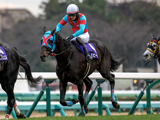 【京都HJ】ネビーイーム、シホノスペランツァなどが登録