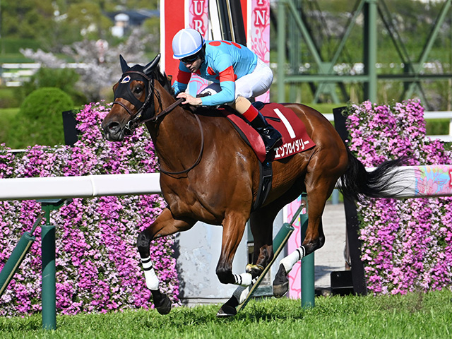 春の古馬女王決定戦・ヴィクトリアMなど3重賞/今週の競馬界の見どころ