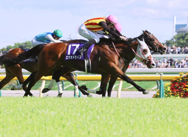【小島太元調教師の競馬ジャーナル】推定6センチ差の大激戦制した要因は…ロデオドライブの枠順、ペース、仕掛けのタイミング