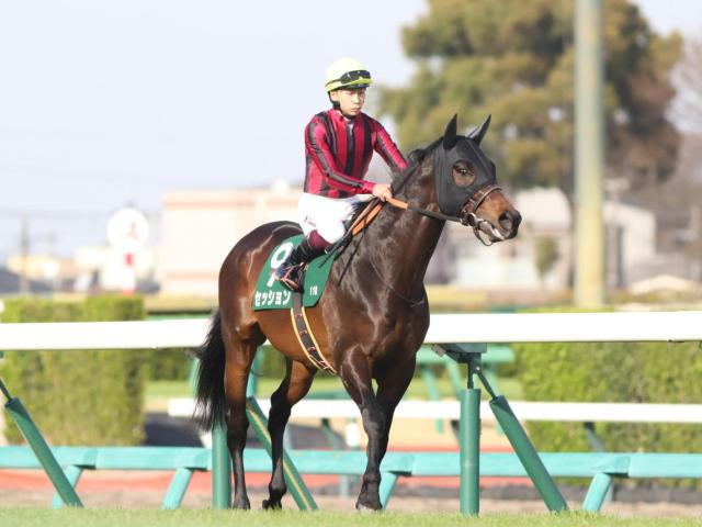【先週のJRA抹消馬】芝マイルで活躍のセッション、ダ1800mで5勝のロードアヴニールなど