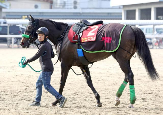 【ヴィクトリアマイル・山下の特注馬】気性が成長したエリカエクスプレスが面白い　武豊騎手の騎乗も魅力